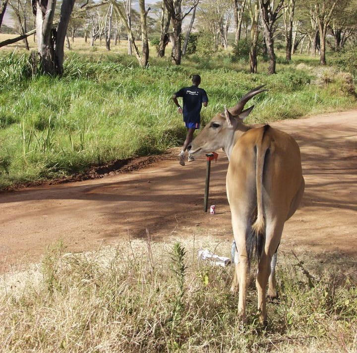 Run with Wildlife: 5 Most Breath-Taking Running Events in Kenya