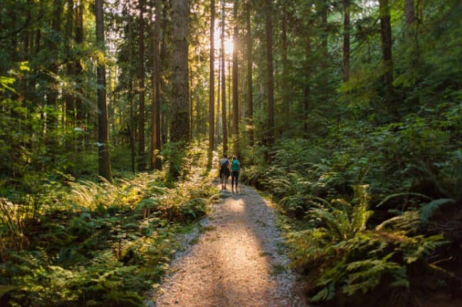 The Trails Are Calling: How to Enjoy Running Again After a Long Time Off